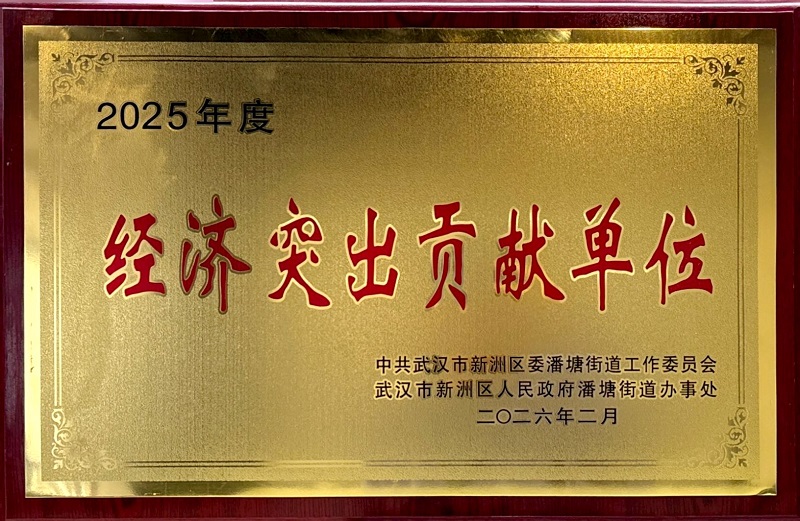 2025年度潘塘街經(jīng)濟(jì)突出貢獻(xiàn)單位